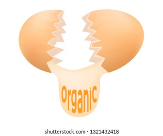 organic egg vector