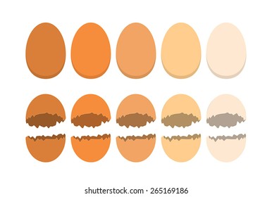 Organic eggs and cracked shells on the white background
