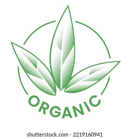 Organic Engraved Round Icon with 3 Green Leaves isolated on a White Background