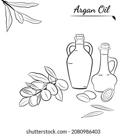 Esbozo de aceite esencial orgánico. Conjunto vectorial de ingredientes capilares.Elementos orgánicos dibujados a mano. Nueces de argán, rama, aceite de botella.