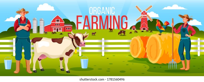 Organic family farming illustration with cowboy, woman farmer, haystack, cow, cock, mill, fence, milk bucket. Countryside rural background with happy village family, livestock, barn, green meadow