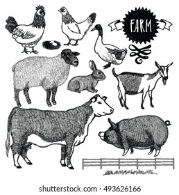 Organic farm Animals set