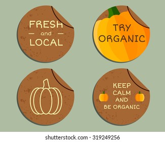 Organic farm corporate identity design with pumpkin. Branding your eco shop, company. Labels, badges. Mock up design. Best for natural shop, organic fairs, bio markets and local companies. Vector.