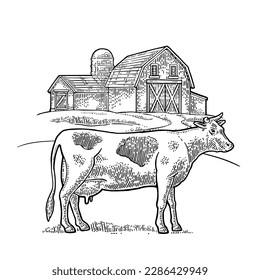Organic farm and cow free range. Vintage vector engraving illustration for info graphic, poster, web. Isolated on white. Hand drawn in a graphic style.
