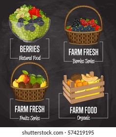 Organic farm fruit set vector illustration. Natural fruit, organic farming, vegan food store, retail farm product label. Healthy fruit advertising tag with grapes, kiwi, lemon, melon, coconut, banana