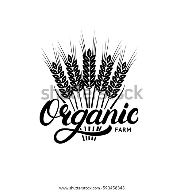 Vector De Stock (libre De Regalías) Sobre Organic Farm Hand Written ...