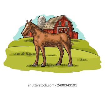 Organic farm and horse free range. Vintage vector engraving illustration for info graphic, poster, web. Isolated on white. Hand drawn in a graphic style.