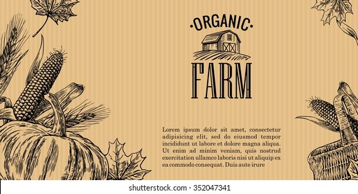 Organic farm with leaves, pumpkin, corn cob, ear wheat on brown background. Engraving vintage vector black illustration. Hand drawn design element for label and poster
