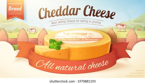 Organic farm product banner ad. 3d cheddar cheese surrounded by the ribbon on an engraved ranch scenery background