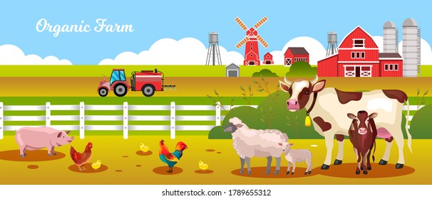 Organic farm vector illustration with cow, sheep, lamb, chicken, rooster, pig, tractor. Agriculture rural landscape in flat style with mill, farming animals, barn, calf for organic products shops