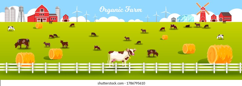 Organic farm vector illustration with grazing livestock, barn, windmill, fence, green meadow, haystacks. Rural farming landscape in flat style with livestock, cows, field, pasture, red village houses