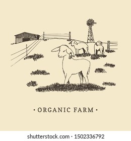 Organic farm vector illustration. Sketched drawing of rural landscape for family farm logotype, eco food sign, vintage quality products sticker.