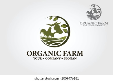Organic Farm Vector Logo Template. Excellent Chicken And Poultry Farm Logo Template. Logo Could Be Used As The Main Identity Element Of Organic Farm Or Store, Vegetarian Or Vegan Restaurant.