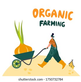 Organic farming. Agricultural workers planting and gathering crops, working on tractor, farmer, farmhouse. Flat cartoon vector illustration. Local grown.