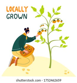 Organic farming. Agricultural workers planting and gathering crops, working on tractor, farmer, farmhouse. Flat cartoon vector illustration. Local grown.