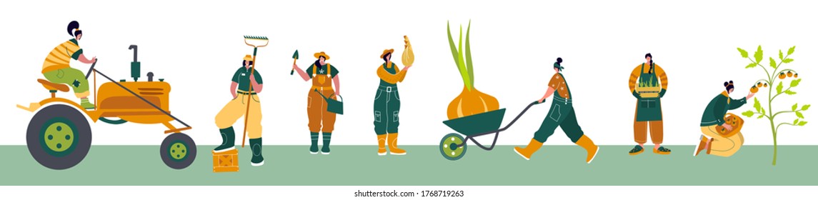 Organic farming. Agricultural workers planting and gathering crops, working on tractor, farmer, farmhouse. Flat cartoon vector illustration. Local grown.