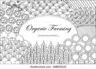 Organic farming background. Frame with plenteous fields landscape. Place for text. Agriculture background. Black and white.