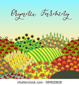 Organic farming background. Pattern with plenteous fields landscape.