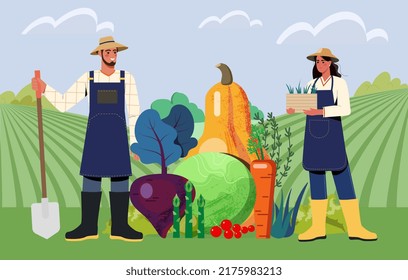 Organic farming concept. Young male and female farmers in uniform grow food with nature manure and harvest ripe fruits and vegetables. Ecological agriculture. Cartoon textural flat vector illustration