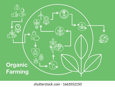 Elementos de diseño de agricultura orgánica en estilo lineal