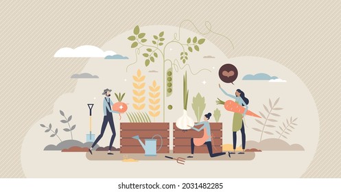 Organic farming as grow food with sustainable method tiny person concept. Plant harvesting using green and nature friendly manure vector illustration. Ecological agriculture for responsible local food