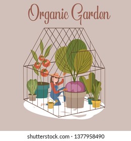 Organic farming illustration with girl spends time in the greenhouse and planting vegetables. Young woman caring for plants. Editable vector illustration