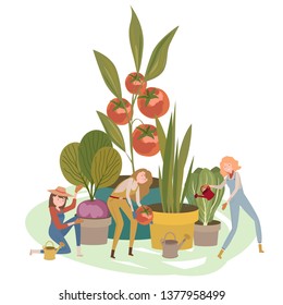 Organic farming illustration with girls spends time in the greenhouse and planting vegetables. Young women caring for plants. Editable vector illustration