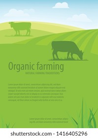 Organic farming. Natural farming traditions. Rural landscape, farm animals and design elements. Agricultural template