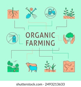 Organic farming poster in line style. Eco farm, sustainable agriculture symbols. Vector illustration.