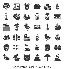 organic farming products icon, such as hen, milk, orange, tomato, honey, sheep, eggs, solid icon