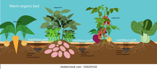 organic farming. warm organic bed.Vector flat illustration.infographics.natural farming smarter