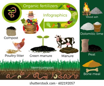 Organic fertilizers. Vector infographics