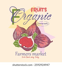 Organic fig fruit print. girls graphics in vector. Fruit vintage t-shirt design. Fig farm artwork. Nature fruit club print design. Fresh farm Market. Summer tropical fruit poster. Organic food artwork
