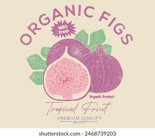 Organic fig fruit print. Nature fruit club print design. Organic food artwork for for t-shirt. Fruit vintage t-shirt design. Fig farm artwork. Fresh farm design.