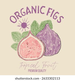 Organic fig fruit print. Nature fruit club print design. Organic food artwork for for t-shirt. Fruit vintage t-shirt design. Fig farm artwork. Fresh farm design.
