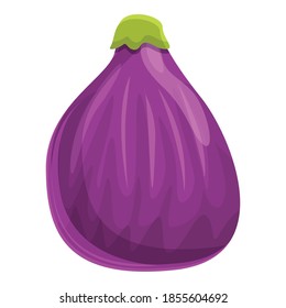 Organic fig icon. Cartoon of organic fig vector icon for web design isolated on white background