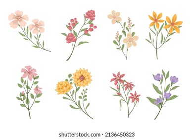 Organic Flat Flower Collection Set Vector Stock Vector (Royalty Free ...