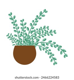 Organic flat houseplant on white background