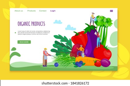 Organic flat product concept, vector illustration. Vegetable healthy food for people character, fresh farmer fruit garden. Cartoon green eco farm, agriculture harvest and gardener plant market.