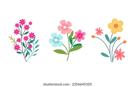 Organic flat spring flower collection