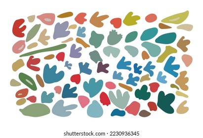 conjunto de elementos de diseño floral orgánico