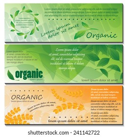 Organic Flyer Template - Vector Illustration, Graphic Design, Editable For Your Design