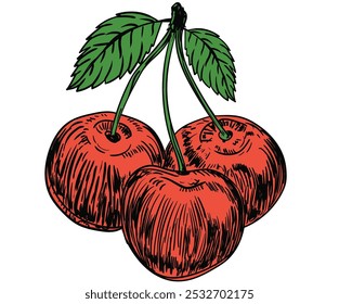 Organic food artwork for for t-shirt. Fruit vintage t-shirt design. Start fresh day. Sweet cherry artwork. Love you cherry much. Cherry fruit print.