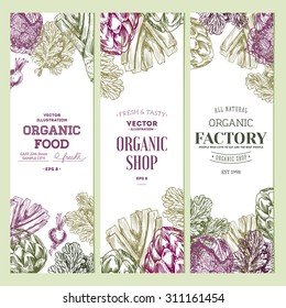 Organic food banner collection. Fresh vegetables. Vector illustration