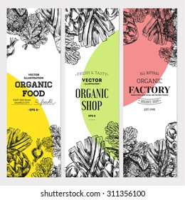 Organic food banner collection. Fresh vegetables. Vector illustration