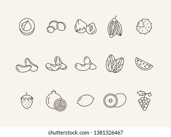 Organic food concept. Set of line icons on white background. Macadamia, chestnut, hazelnut. Nuts and fruits concept. Vector illustration can be used for topics like healthy eating, food, dieting