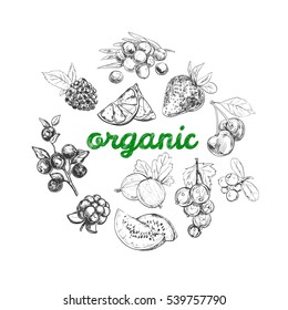 Organic food concept. Vector hand drawn illustration