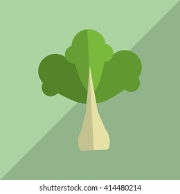 Organic food design. healthy food. menu concept, vector illustration