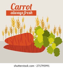 Organic Food design over white background, vector illustration