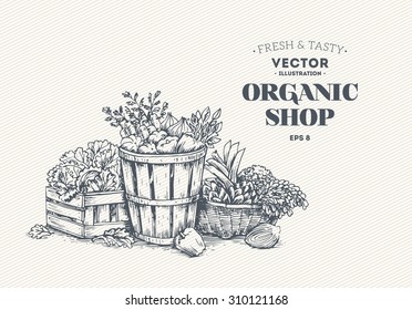 Organic food design template. Healthy eating background. Vector illustration